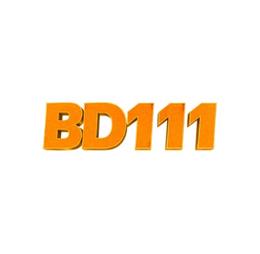 bd111art