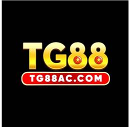 tg88accom