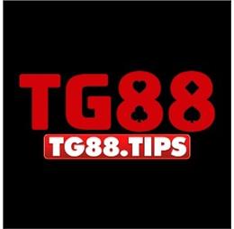 tg88tips