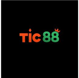 tic88my