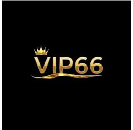 vip66vnorg