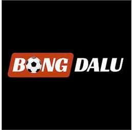 bongdalusx