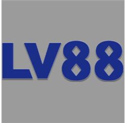 lv88boston1