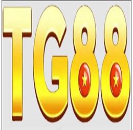 tg88z1com