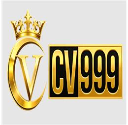 kingcv999com