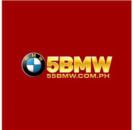 55bmwcomph1
