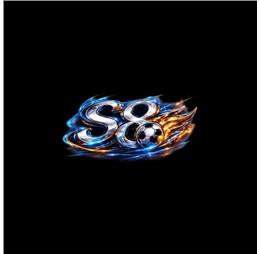 S8gsinnet