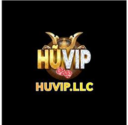 huvipllc