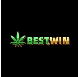 bestwininfo