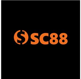 c88seocom1