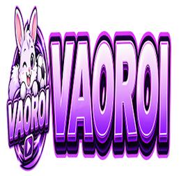 vaoroitvwork