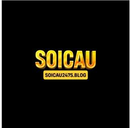 soicau247sblog