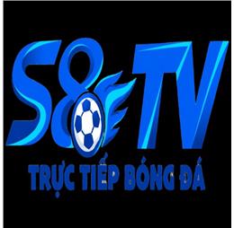 ns8tv3