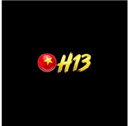 H13procom