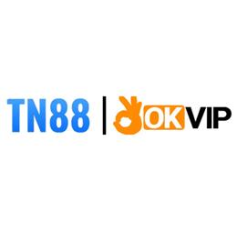 tn888net