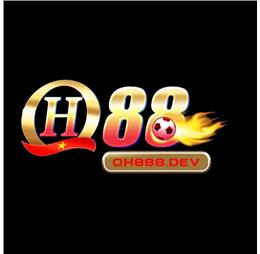 qh888dev1